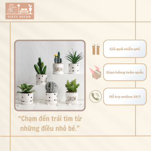 Cây Mini Decor Trên Bàn – Điểm Nhấn Xanh Cho Không Gian Làm Việc & Học Tập