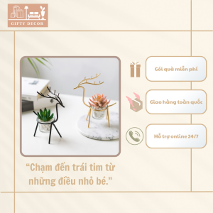 Cây Mini Trang Trí Trong Nhà – Điểm Nhấn Xanh Cho Không Gian Sống Hiện Đại